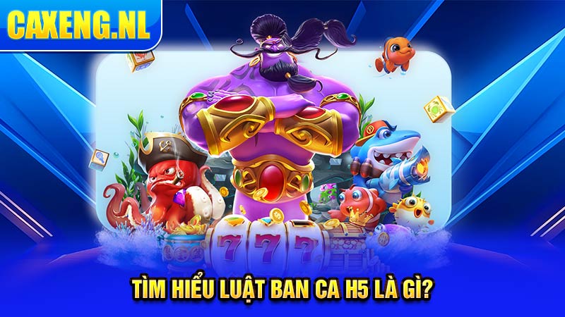 Tìm hiểu luật ban ca h5 là gì?